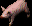Un cochon