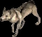 Chien-loup