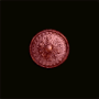 boubou_plaque_rouge.png