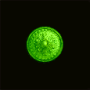 boubou_plaque_vert_fluo.png