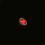 focus_rubis.png