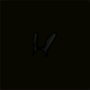 cagoule_lapin_noire_inv.png