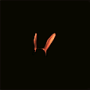 cagoule_lapin_orange_inv.png