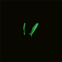cagoule_lapin_verte_inv.png