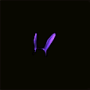 cagoule_lapin_violette_inv.png
