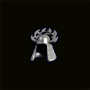 heaume_plaque_lauriers_inv.png