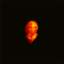 heaume_plaque_orange_fluo_inv.png