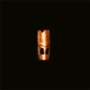 masque_gobelin_orange_inv.png