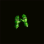 gant_plaque_vert_fluo.png