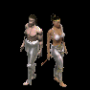 jambi_plaque_argent_2.png