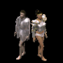 plastron_plaque_argent_2.png