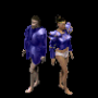 plastron_plaque_bleu_2.png
