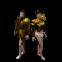plastron_plaque_jaune_2.png