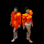 plastron_plaque_orange_2.png