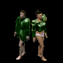 plastron_plaque_vert_2.png