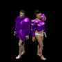 plastron_plaque_violet_2.png