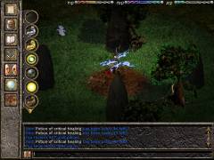   Forêt de Raven's Dust v1.25  