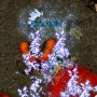 bonus_secret_t.o.u.r_1.png
