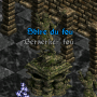 le_fou_sbire_du_fou_berserker_fou.png