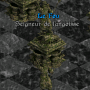 le_fou_seigneur_de_l_angoisse_1.png