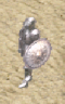 objet_armure_ap_homme.png